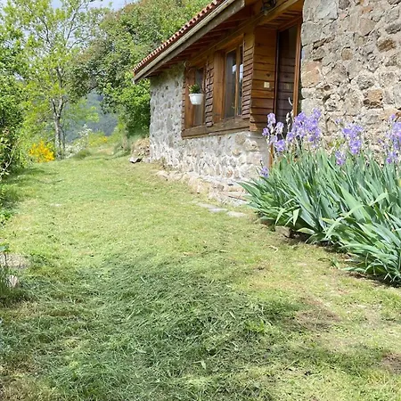 Un Train A La Decouverte Des Cimes En Ardeche * Saint-Prix (Ardeche)