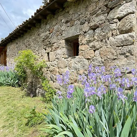 Un Train à La Découverte Des Cimes En Ardèche * Saint-Prix (Ardeche)